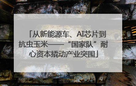 从新能源车、AI芯片到抗虫玉米——“国家队”耐心资本撬动产业突围