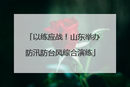 以练应战！山东举办防汛防台风综合演练