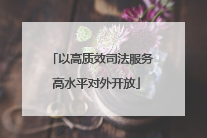 以高质效司法服务高水平对外开放