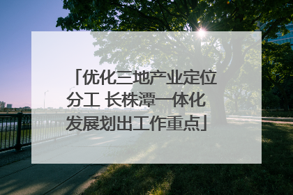 优化三地产业定位分工 长株潭一体化发展划出工作重点
