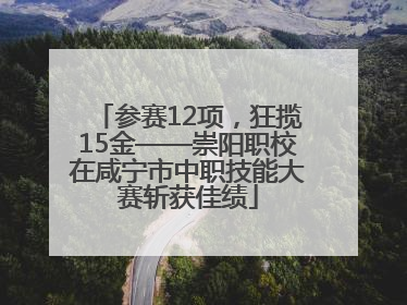 参赛12项，狂揽15金——崇阳职校在咸宁市中职技能大赛斩获佳绩