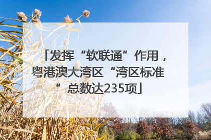 发挥“软联通”作用，粤港澳大湾区“湾区标准”总数达235项