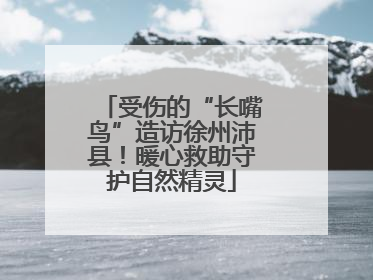 受伤的“长嘴鸟”造访徐州沛县！暖心救助守护自然精灵