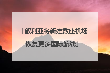 叙利亚将新建数座机场 恢复更多国际航线