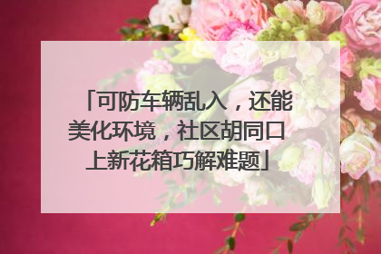可防车辆乱入，还能美化环境，社区胡同口上新花箱巧解难题