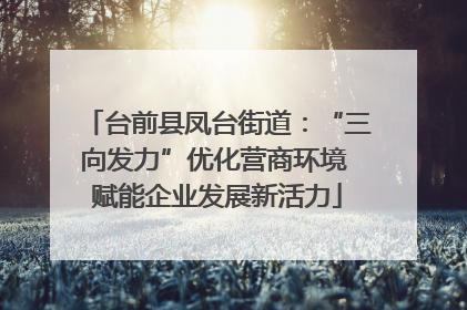 台前县凤台街道：“三向发力”优化营商环境 赋能企业发展新活力