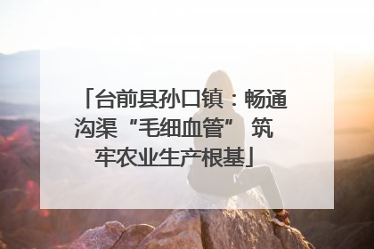 台前县孙口镇：畅通沟渠“毛细血管” 筑牢农业生产根基