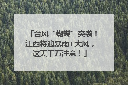台风“蝴蝶”突袭！江西将迎暴雨+大风，这天千万注意！