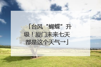 台风“蝴蝶”升级！厦门未来七天都是这个天气→
