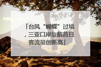 台风“蝴蝶”过境，三亚口岸复航首日客流量创新高