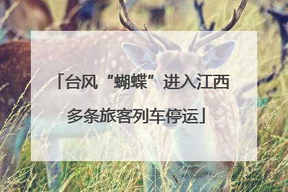 台风“蝴蝶”进入江西 多条旅客列车停运
