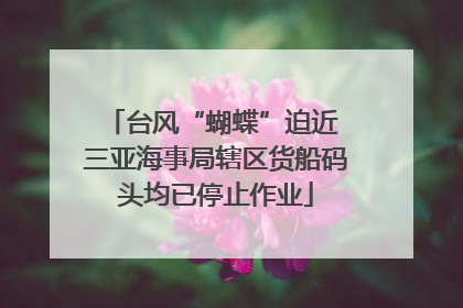 台风“蝴蝶”迫近 三亚海事局辖区货船码头均已停止作业