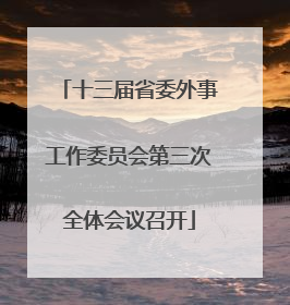 十三届省委外事工作委员会第三次全体会议召开
