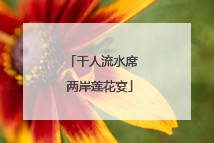 千人流水席 两岸莲花宴