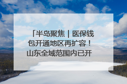 半岛聚焦｜医保钱包开通地区再扩容！山东全域范围内已开通，有何用处？如何操作？速戳→