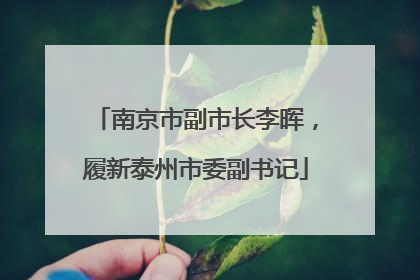 南京市副市长李晖，履新泰州市委副书记