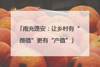 南充蓬安：让乡村有“颜值”更有“产值”