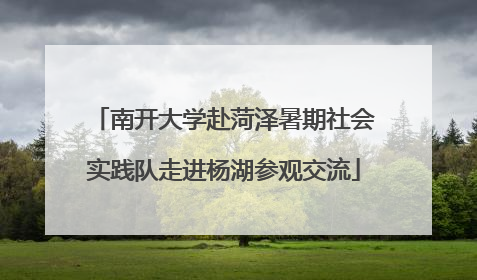 南开大学赴菏泽暑期社会实践队走进杨湖参观交流