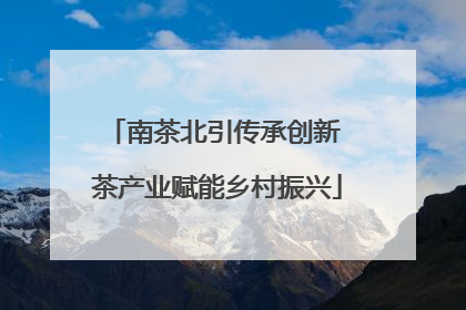 南茶北引传承创新 茶产业赋能乡村振兴