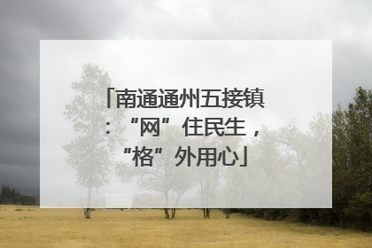 南通通州五接镇：“网”住民生，“格”外用心