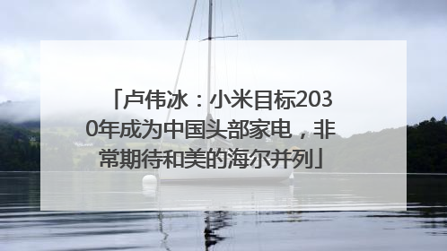 卢伟冰：小米目标2030年成为中国头部家电，非常期待和美的海尔并列