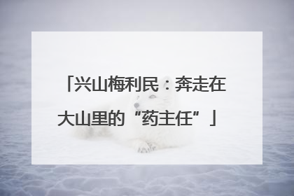 兴山梅利民：奔走在大山里的“药主任”