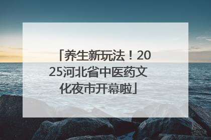 养生新玩法！2025河北省中医药文化夜市开幕啦