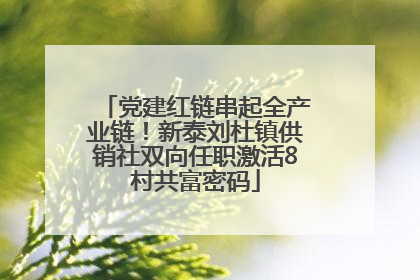 党建红链串起全产业链！新泰刘杜镇供销社双向任职激活8村共富密码