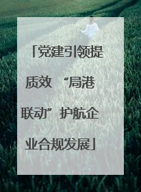 党建引领提质效 “局港联动”护航企业合规发展