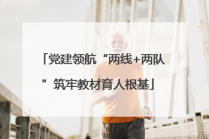 党建领航“两线+两队”筑牢教材育人根基