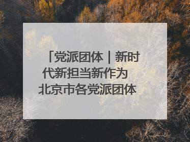 党派团体｜新时代新担当新作为 北京市各党派团体这么干！
