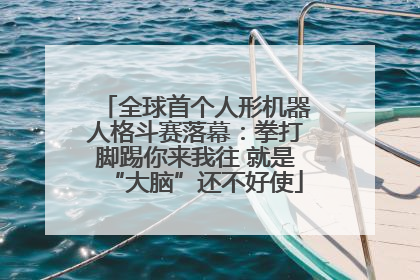 全球首个人形机器人格斗赛落幕：拳打脚踢你来我往 就是“大脑”还不好使