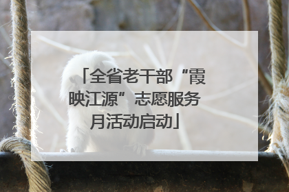 全省老干部“霞映江源”志愿服务月活动启动