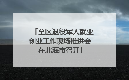 全区退役军人就业创业工作现场推进会在北海市召开