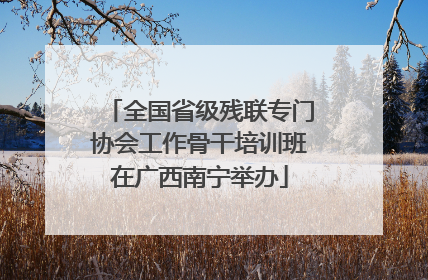 全国省级残联专门协会工作骨干培训班在广西南宁举办
