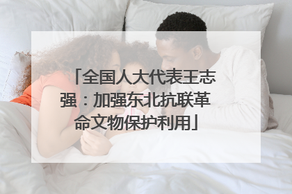 全国人大代表王志强：加强东北抗联革命文物保护利用