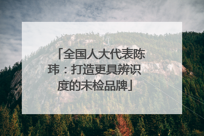 全国人大代表陈玮：打造更具辨识度的未检品牌