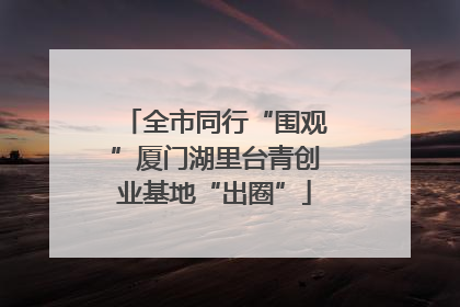 全市同行“围观”厦门湖里台青创业基地“出圈”
