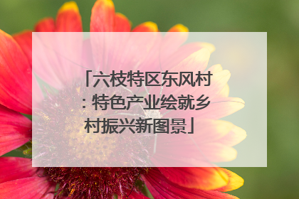 六枝特区东风村：特色产业绘就乡村振兴新图景