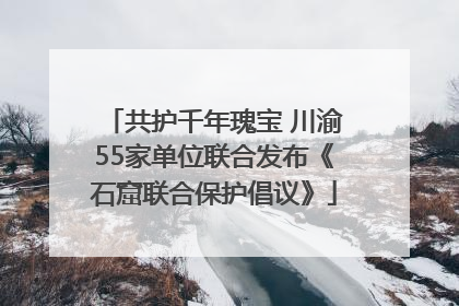 共护千年瑰宝 川渝55家单位联合发布《石窟联合保护倡议》