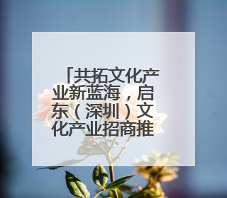 共拓文化产业新蓝海，启东（深圳）文化产业招商推介会举行