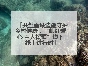共赴雪域边疆守护乡村健康，“韩红爱心·百人援疆”线下线上进行时