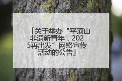 关于举办“平顶山非遗新青年，2025再出发”网络宣传活动的公告