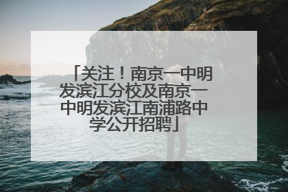 关注！南京一中明发滨江分校及南京一中明发滨江南浦路中学公开招聘