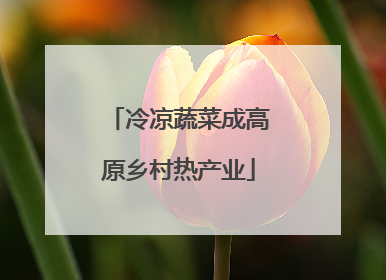 冷凉蔬菜成高原乡村热产业