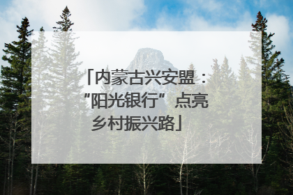 内蒙古兴安盟：“阳光银行”点亮乡村振兴路