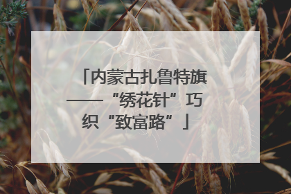 内蒙古扎鲁特旗——“绣花针”巧织“致富路”