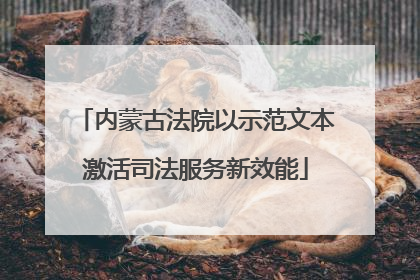 内蒙古法院以示范文本激活司法服务新效能