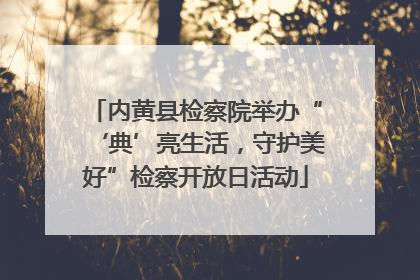 内黄县检察院举办“‘典’亮生活，守护美好”检察开放日活动