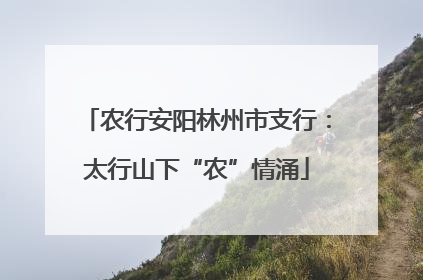 农行安阳林州市支行：太行山下“农”情涌